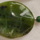 Serpentine stones